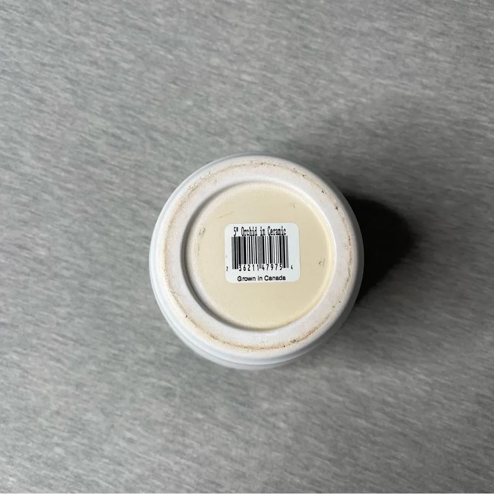 Target White 5” Round Ceramic Planter Pot